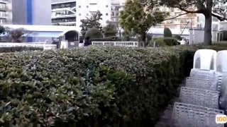 一级毛片成人免费看免费不卡 -